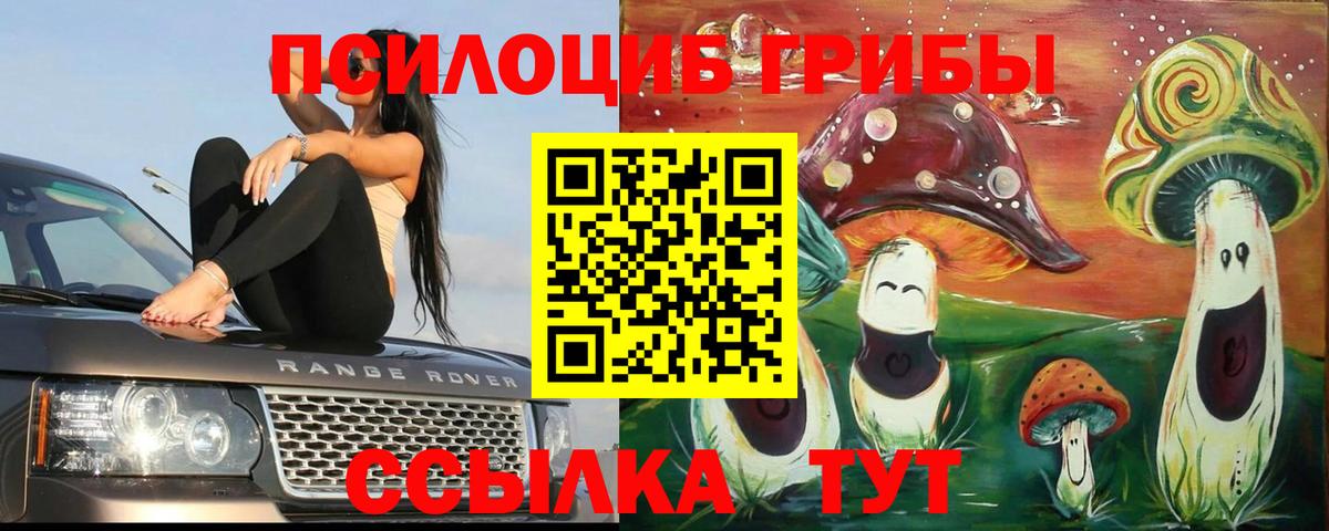 Новосибирск  купить наркоту  Вход с VPN  Галлюциногенные грибы Magic Shrooms  Псилоцибиновые грибы Cubensis 